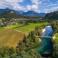 Sava bohinjka (slo)